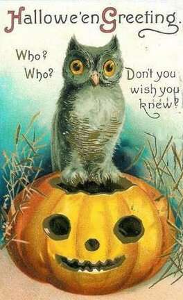 Owl on Pumpkin