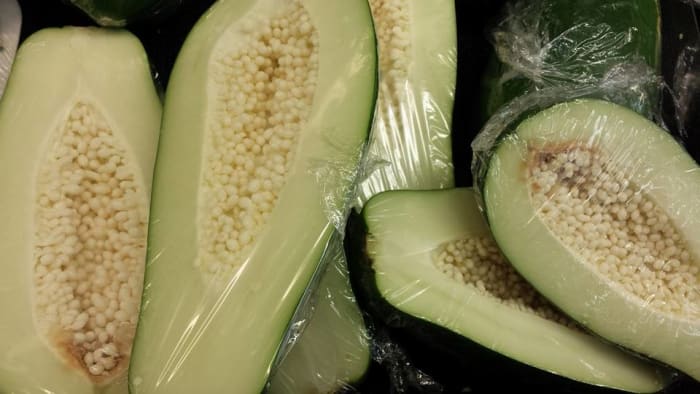Green papaya sold in stores. Use as ingredients in Filipino dishes such as the favorite soup-based dish tinola.