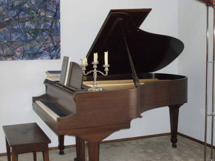 The Tibet Almond Stick easily handled the numerous small surface scratches on my antique grand piano.