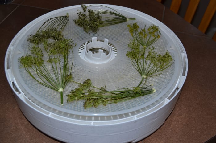 Leave enough space between herbs to allow the air to circulate freely while drying--use plastic liners to keep the pieces on the tray!