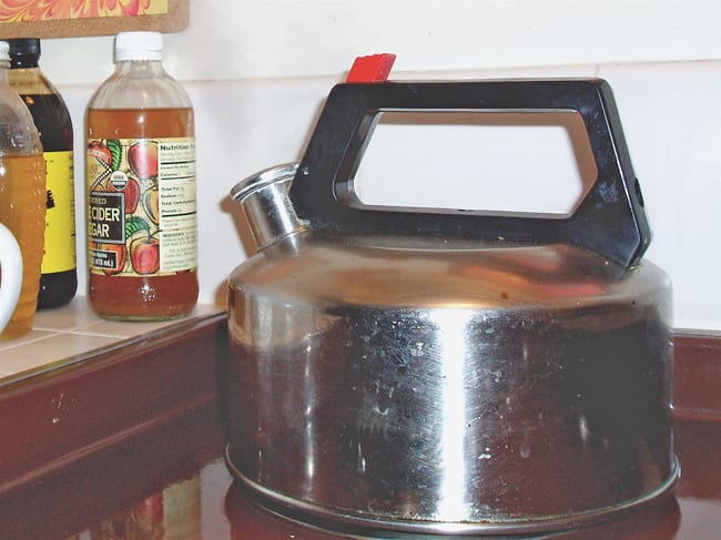 Nice size for one person to drink tea all day. Technically, this is a tea kettle, not a teapot. It's used to boil water, not to steep tea.