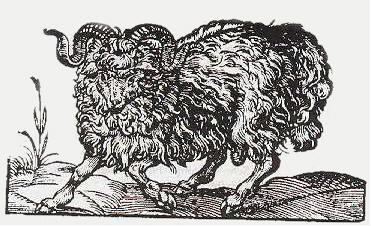 The Ram is the symbolic representative of the Astrological sign of Aries, the first sign in the Zodiac.