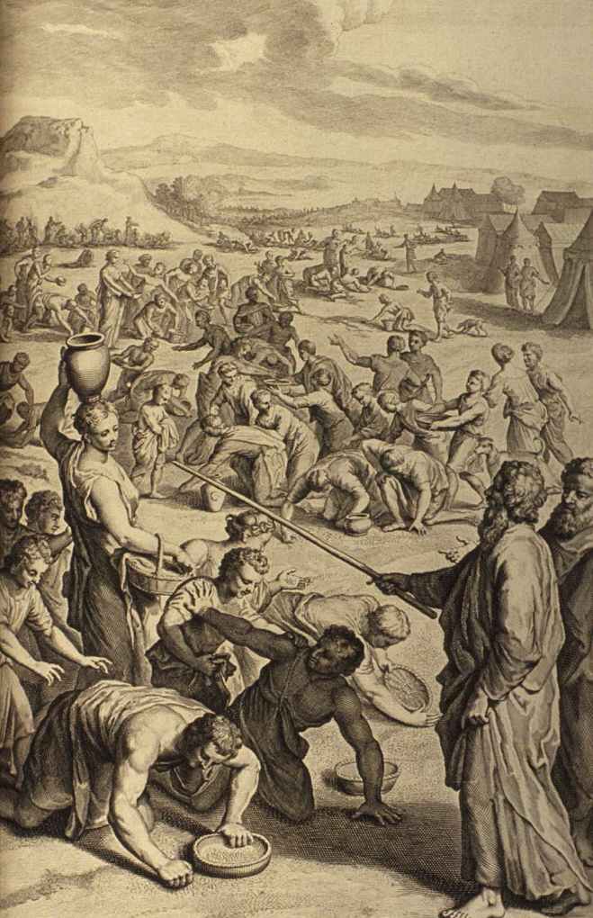 The Israelites gather Manna in the Wilderness, Exodus 16:14-22.
