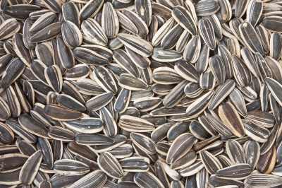 Sunflower seeds are a great snack to munch on while chatting with friends - they are a good source of Vitamin A, meaning that's awesome for your eyes!