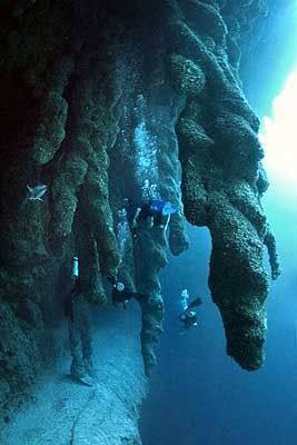 1,000 ft circular coral reef that drops 400 ft into an incredible cavern filled with stalactites and awe-inspiring natural formations.