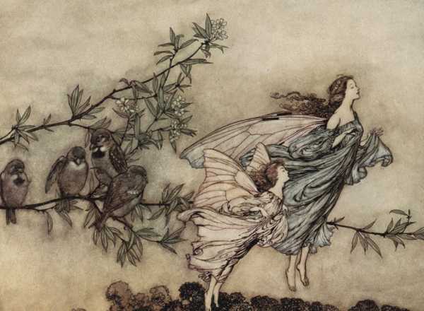 Here we show a portion of 'The fairies have their tiffs with the birds' - it is from the suite by Arthur Rackham published in "Peter Pan in Kensington Gardens" (1906).