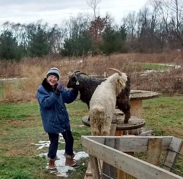 Kayle with goats at friends' hobby farm about an hour's drive from Kalamazoo