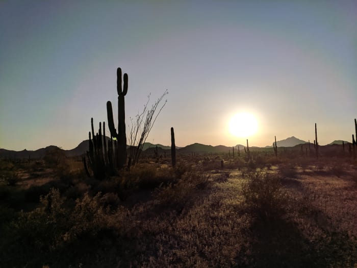 Sun setting behind distant mountains at Organ Pipe Cactus National Monument. Note Organ Pipe Cactus growing next to a taller Saguaro Cactus on left side of picture - see photo below for closer look at the Organ Pipe Cactus growing next to the Saguar