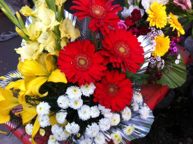 Vibrant Colors are everywhere and should be utilized to bring about positive changes in our life.