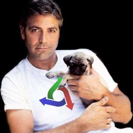 George Clooney was one of the founding members and in charge of marketing. But he had a terrible work ethic and wasn't as good looking as Ryan Hupfer, so they sacked him and brought Ryan in on the team. The pug fetish got to stay though.