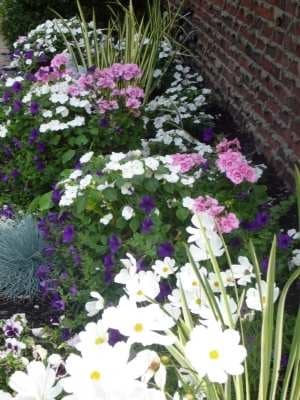 This is one of my moonlight gardens, I have placed a few solar lights to enchase the moonlight... I have used loads of white Cosmos, and white impatient's along with white Alyssum, just for the sweet scent...