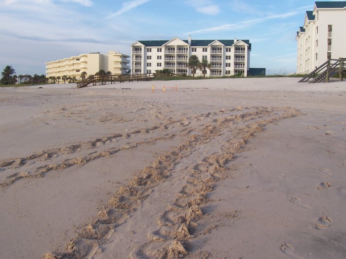 Beach Metal Detecting: Hunting the Treasure Coast of ...