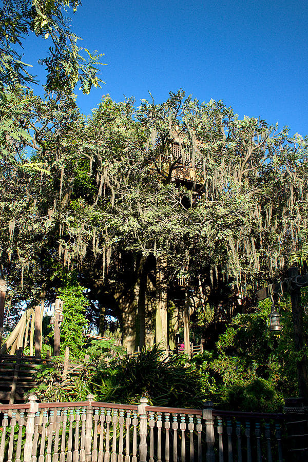 Swiss Family Robinson Treehouse in Adventure Land