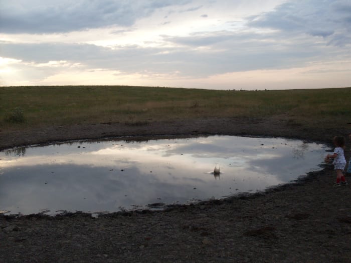 But it proved a fine place for throwing stones. We plan to be back next spring, and perhaps collect some tadpole eggs (mostly toads).
