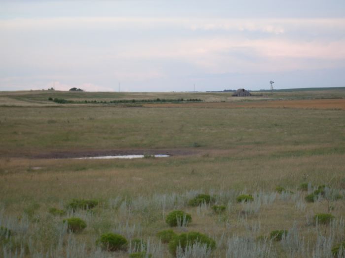 As the year had been quite rainy, I was disappointed that the Buffalo Wallow was dry by the time I got to take photos...