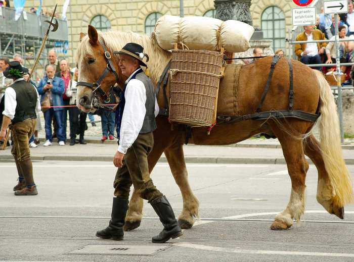This is a parade in Munich, Germany. The owner wears a traditional German costume and the horse carries beer making supplies.