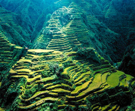 They carved into the steep mountainsides a panoramic vista of stairways of rice fields reaching up to the skies.An astonishing feat of engineering,when you consider that they were constructed of mud and stone almost entirely by hand 2000 years ago.