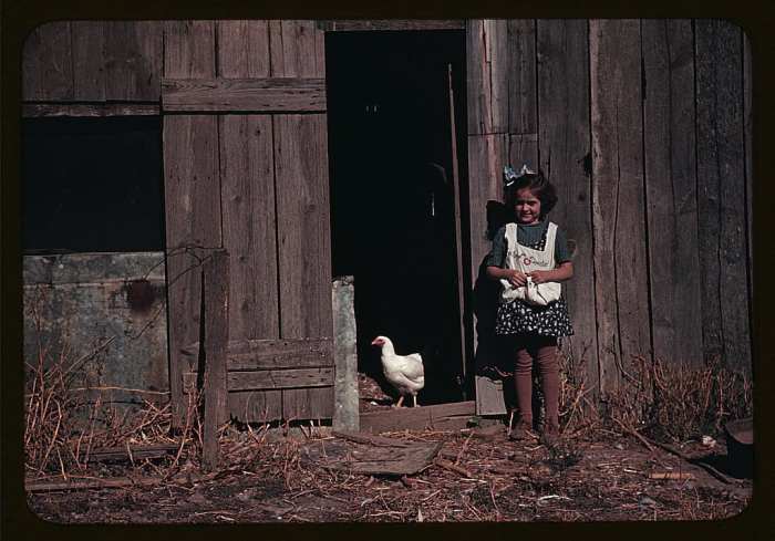 Just a picture of a little girl with an apron full of eggs and a disapproving hen but this speaks volumes about childhood back then. She doesn't seem to mind at all that video games haven't yet been invented (in 1941). Location unknown.