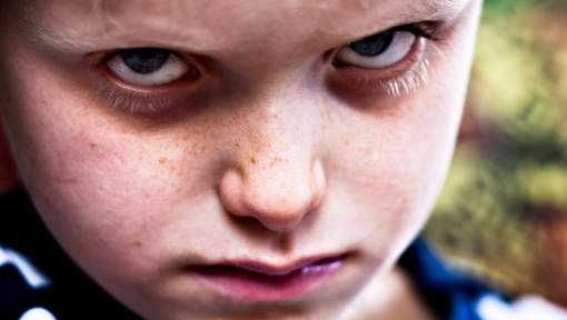 Children in multichild environments learn to be manipulative. They must be in order to SURVIVE, EVEN THRIVE in their particular family dynamic. In multichild households, it is THE SURVIVAL of the MOST CUNNING.