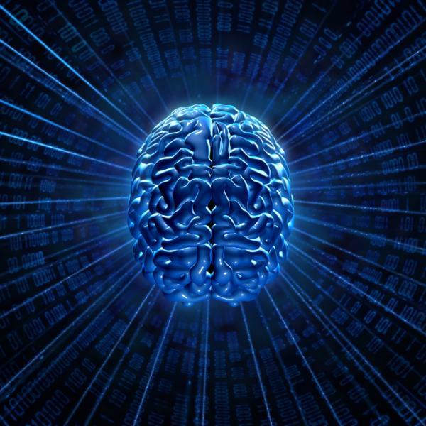 Scientists are studying the wiring of the human brain. Circuit tracing method allows studying of incoming and outgoing signals from any two brain centers; they can look aat up to four links in a circuit. They see that as their technological innovatio