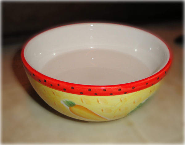 This is a standard ceramic bowl, the type that you can buy individually or with a set of dishes. These look really pretty but are easily tipped.