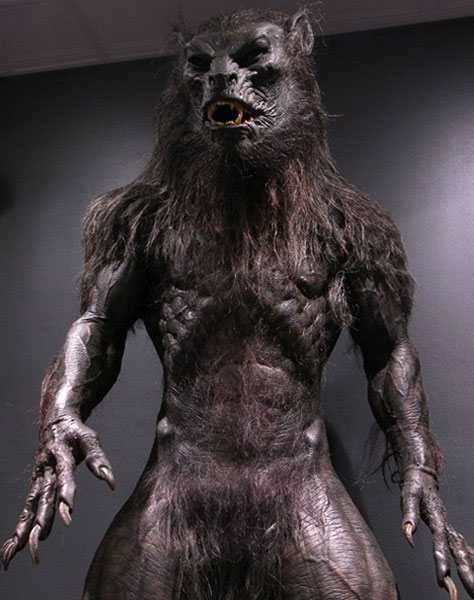 A "lycan" from the popular movies of Underworld. The reverse could be said of this picture. I would say it's more werewolf like than lycanthrope.