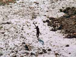 The Sentinelese's hostile attitude towards outsiders may have saved them from the fate that has befallen many indigenous tribes over the last few centuries.
