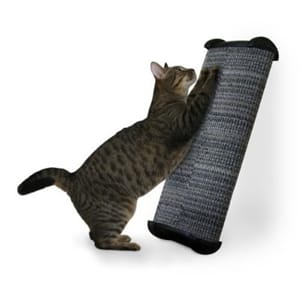 Use the Feliway Diffuser in conjunction with the Feliway Spray and a Cat Scratching Post to stop your cat scratching furniture and furnishings