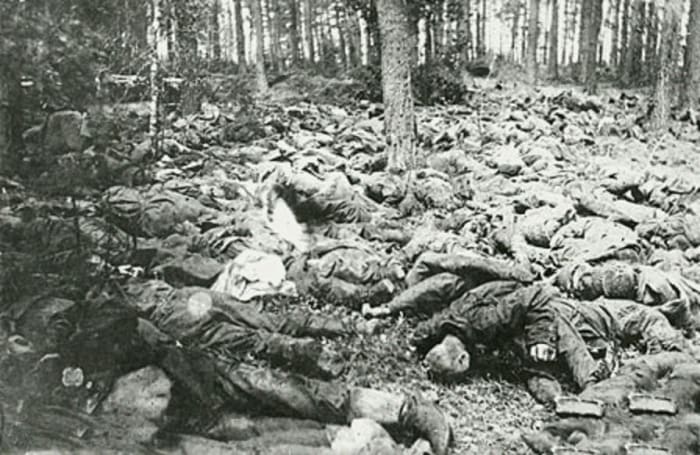 It is only with scenes like this that future generations can ever comprehend the numbers on all sides that were slaughtered in 'doing their duty' for politicians and industrialist manufacturers of war. Why?