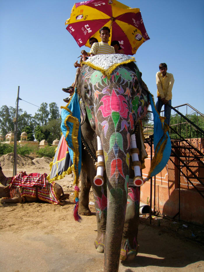 Dera Amer offers visitors the chance to go on a safari on the back of an elephant