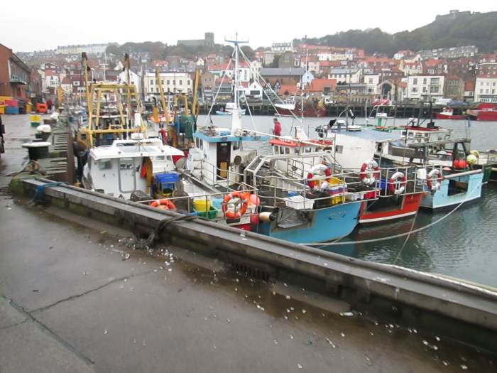 Looking back across the main harbour to the old town across a maze of trawlers and inshore fishing vessels