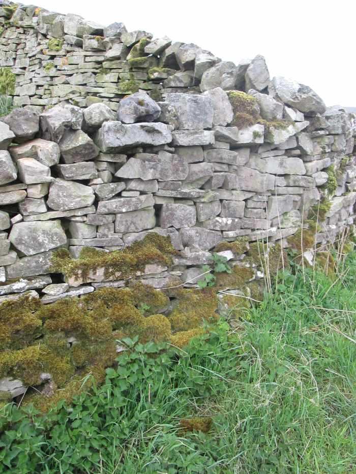 Cornerstones of a field boundary high above Swaledale - a complex grid of un-cemented stonework for which the Dales are renowned. Many areas of Yorkshire have their own styles, as do other parts of Britain