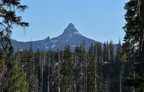 Mt Washington is weathered and holds snow much of the year. Trees do not grow on the peak. Black Butte is covered with trees to the top, and shows no sign of erosion. Both peaks are visible from the highway east of Santiam Pass in Oregon.