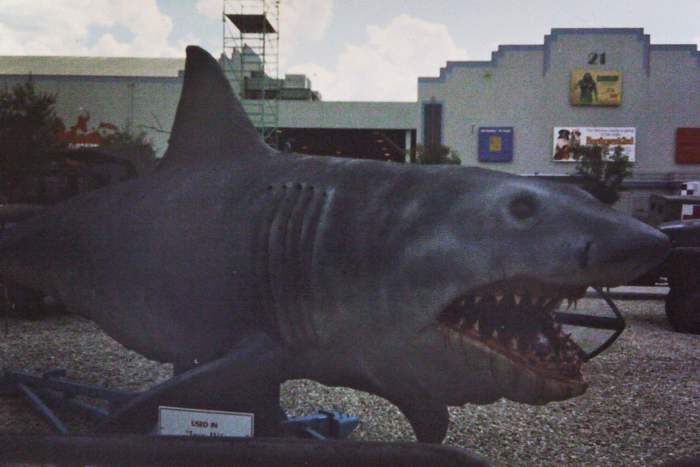 Also not Bruce. This is the full scale shark from the notorious stinker JAWS: The Revenge, the fourth and final of the JAWS films. He lived on the Universal Studios Florida backlot for years, but was eventually carted off to a landfill. Poor guy.