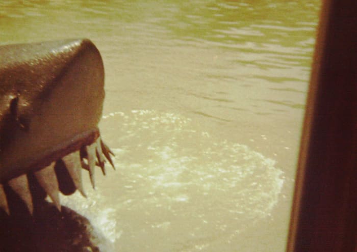 I tried to take a picture of the original "carrot tooth" shark on the Universal Tour back in 1977. I only got the tip of his nose, and a few of those goofy floppy teeth.
