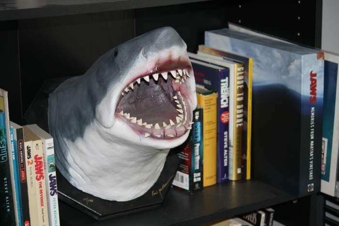 This fantastic Bruce sculpture by Paul McPhee graces my shark-dedicated bookshelf. It captures the hulking menace of the infamous mechanical monster really well, and greets me every morning.