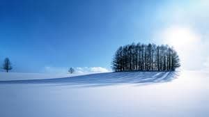 Capricorn represents winter, more accurately the winter solstice. The period of late December has the shortest days & the longest nights. Nature during this time is quite cold, stark, and austere.