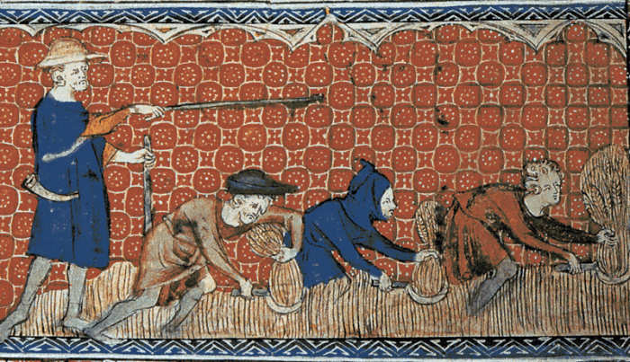 A reeve (foreman) directing serfs during the harvest in England around 1310.