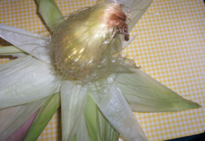 Just the feel and beauty of the silk lets you know it must have some benefit!