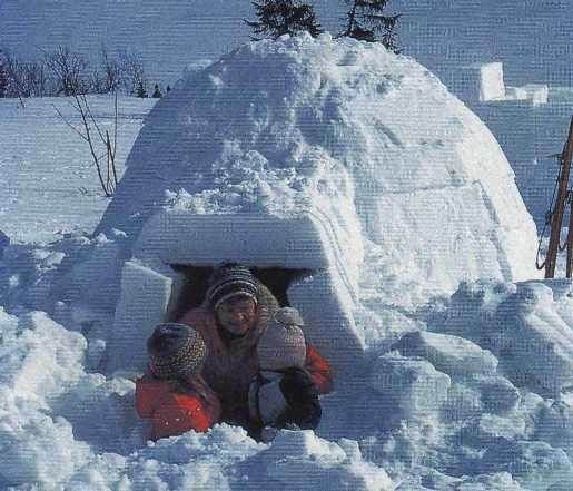Igloos are a natural in the far north, in high mountain glaciers and in the far south. They can be made large enough for several people and can be made very quickly. They can also be surprisingly warm inside.