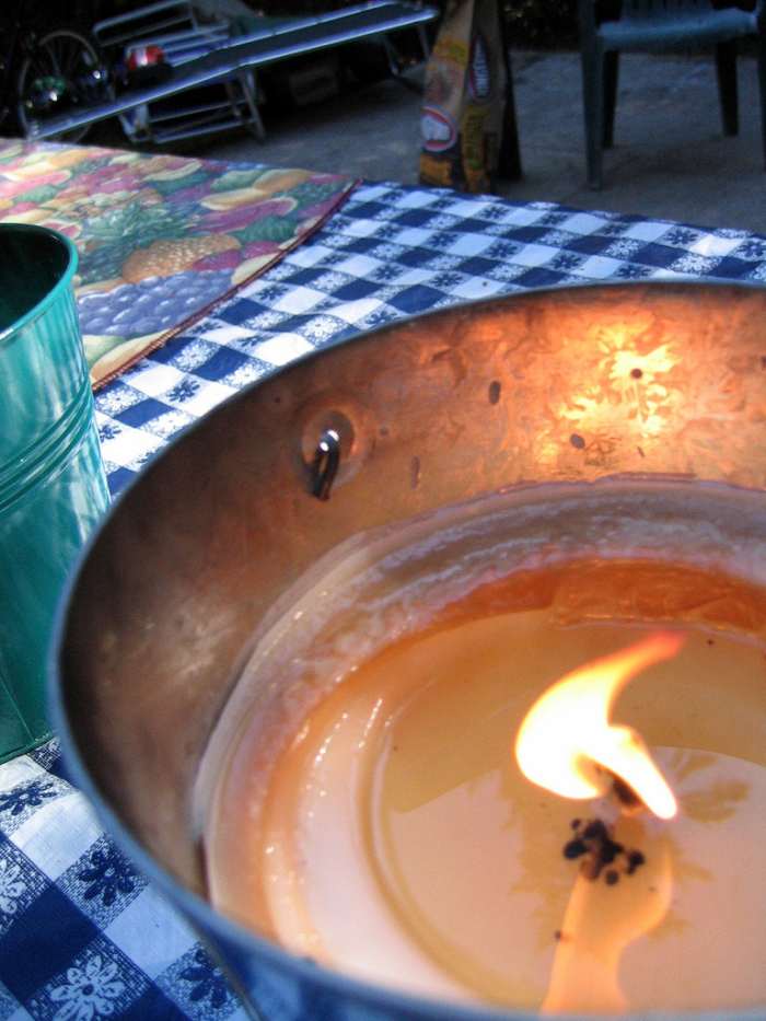 Best Mosquito Repellent and Anti Mosquito Tricks HubPages