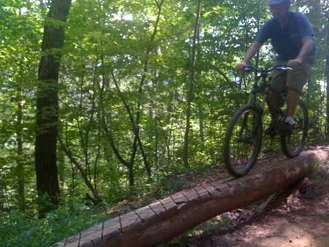 One of many trail features you will find at mountain biking destinations like Dupont State Forest and Bent Creek.