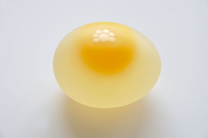 The white eggshell has been removed by dipping a normal chicken egg into vinegar for 48 hrs. Very little retouched.