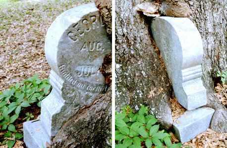 Sometimes you can only record the information you can see and make note of why additional information is not obtainable.The cemetery office may be able to provide you with the additional details for missing information. Notate accordingly.