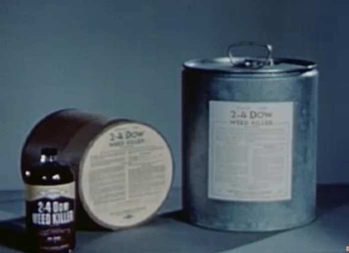 A 1947 photo of Dow's highly toxic 2-4 broadleaf herbicide, which was first use on US farms in 1948.