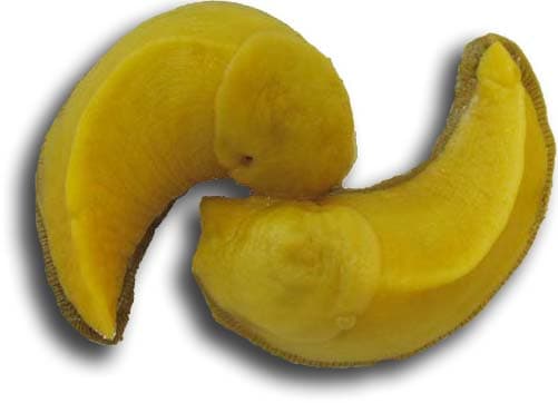 Because slugs are hermaphroditic and need to both give and receive, when they mate they form the famed "Yin and Yang" peace symbol. Interesting how mother nature does her stuff, eh?