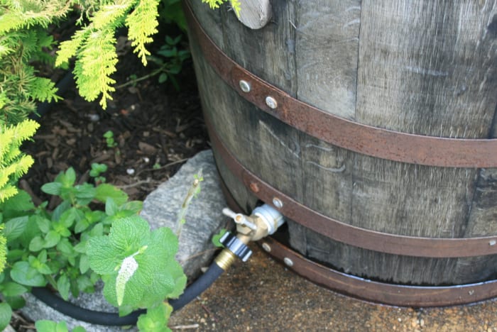 Before a rain, make sure that the spigot on your barrel is closed so that you'll capture the run-off from your roof. (Excess water will overflow from the barrel at the top.)