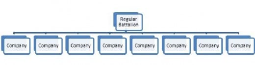 An example of the structure of a U.S. Regular Battalion composed of 8 Companies as per the new U.S. Regular Regiment organization.