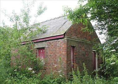 This is the old Cleveland Railway Chaloner Junction signal cabin near Pinchinthorpe Station, half-buried in the undergrowth and hidden by tree growth - picture by Barry Burns