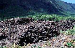 An ancient Native Hawaiian houselot similar to those at Kalaupapa when the first patients arrived in 1866.